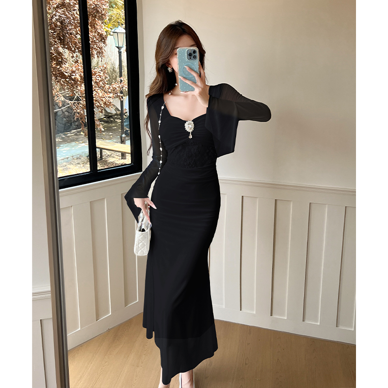 2026 Spring French Style Mesh Panel Bodycon Long Dress for Women - Image 4